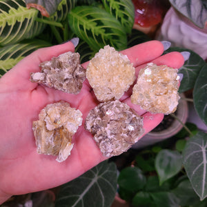 Gold Mica Specimens - Intuitively Chosen