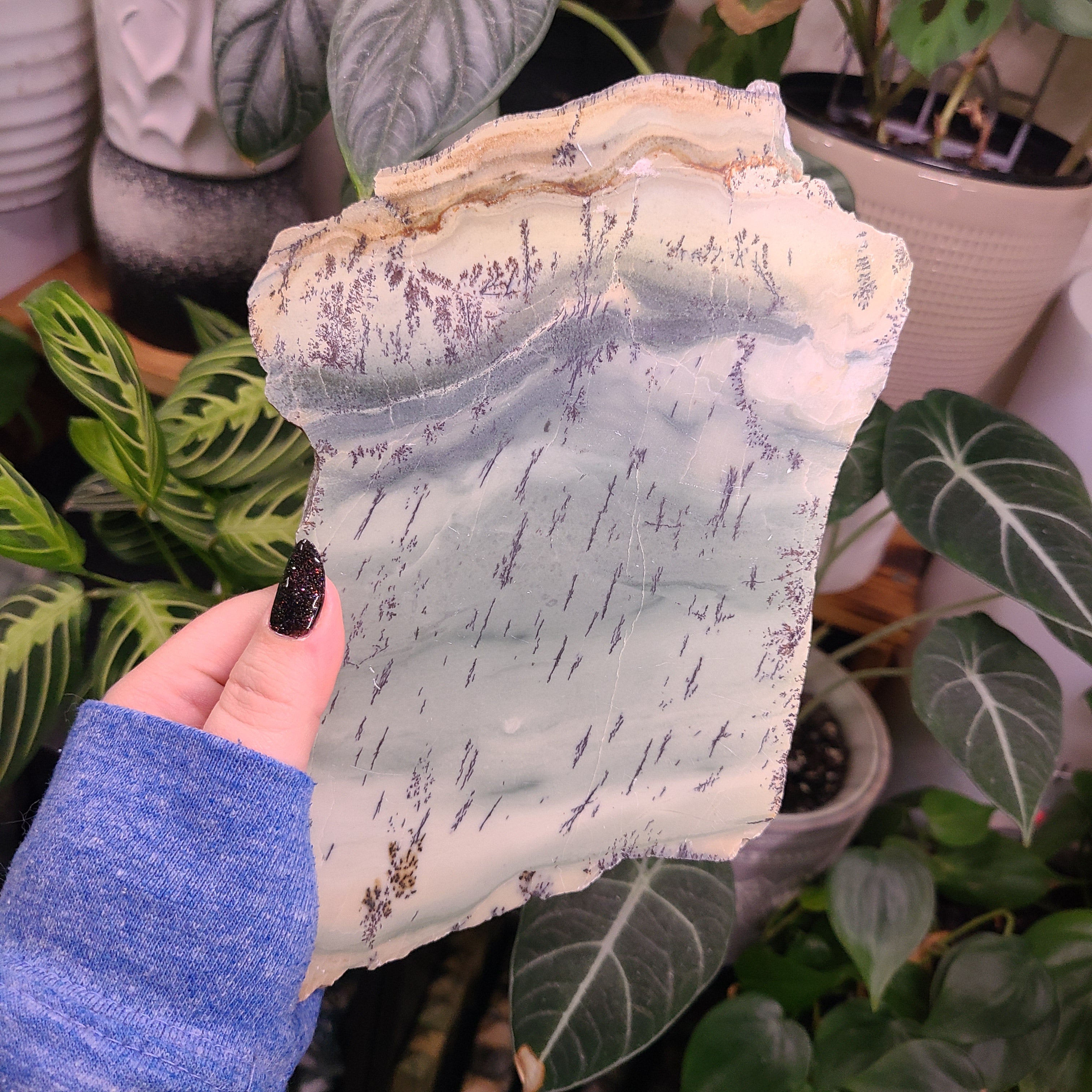 Dendritic Jasper Slabs