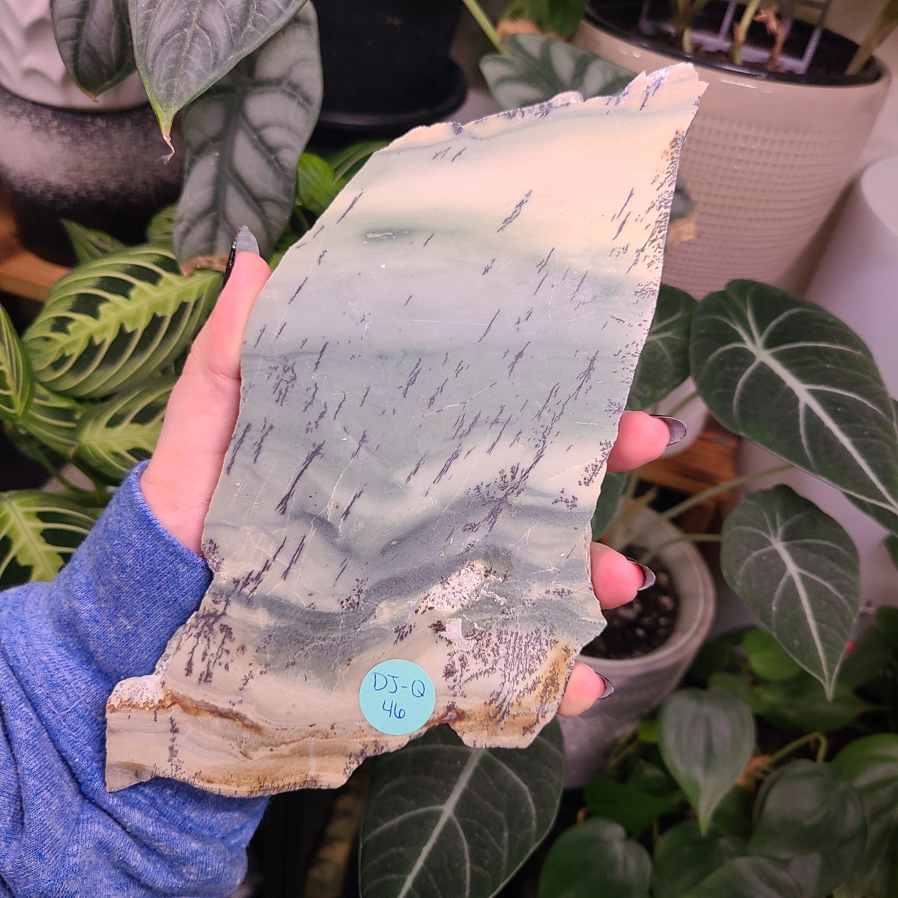 Dendritic Jasper Slabs