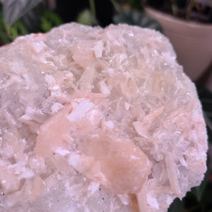 Peach Stilbite Specimen