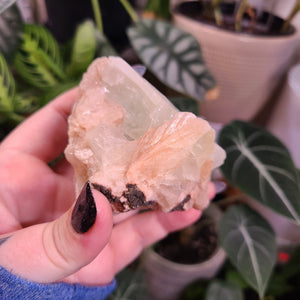 Peach Stilbite with Green Apophyllite Specimen