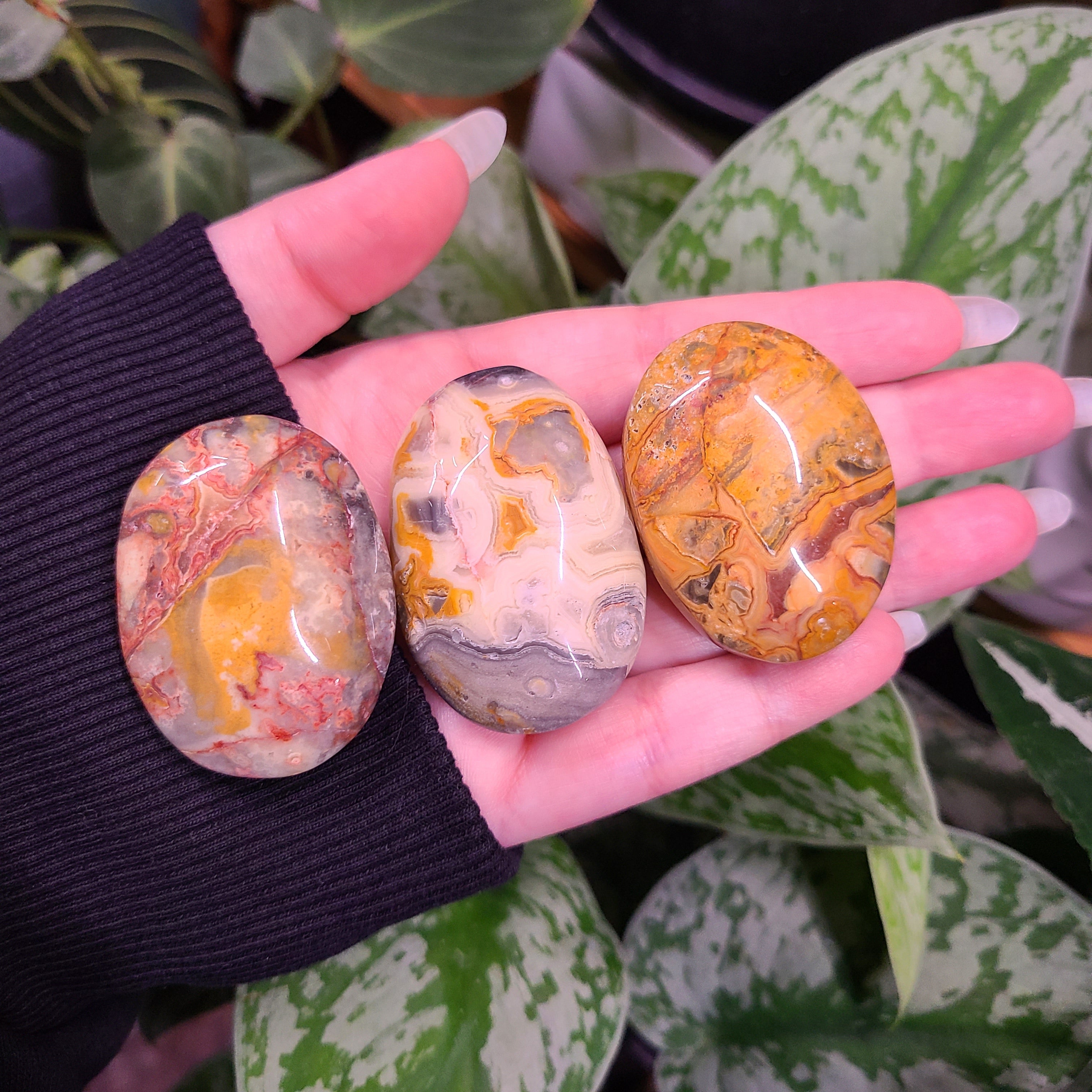Crazy Lace Agate Palm Stones