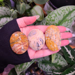 Load image into Gallery viewer, Crazy Lace Agate Palm Stones
