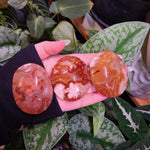 Load image into Gallery viewer, Carnelian x Flower Agate Palm Stones
