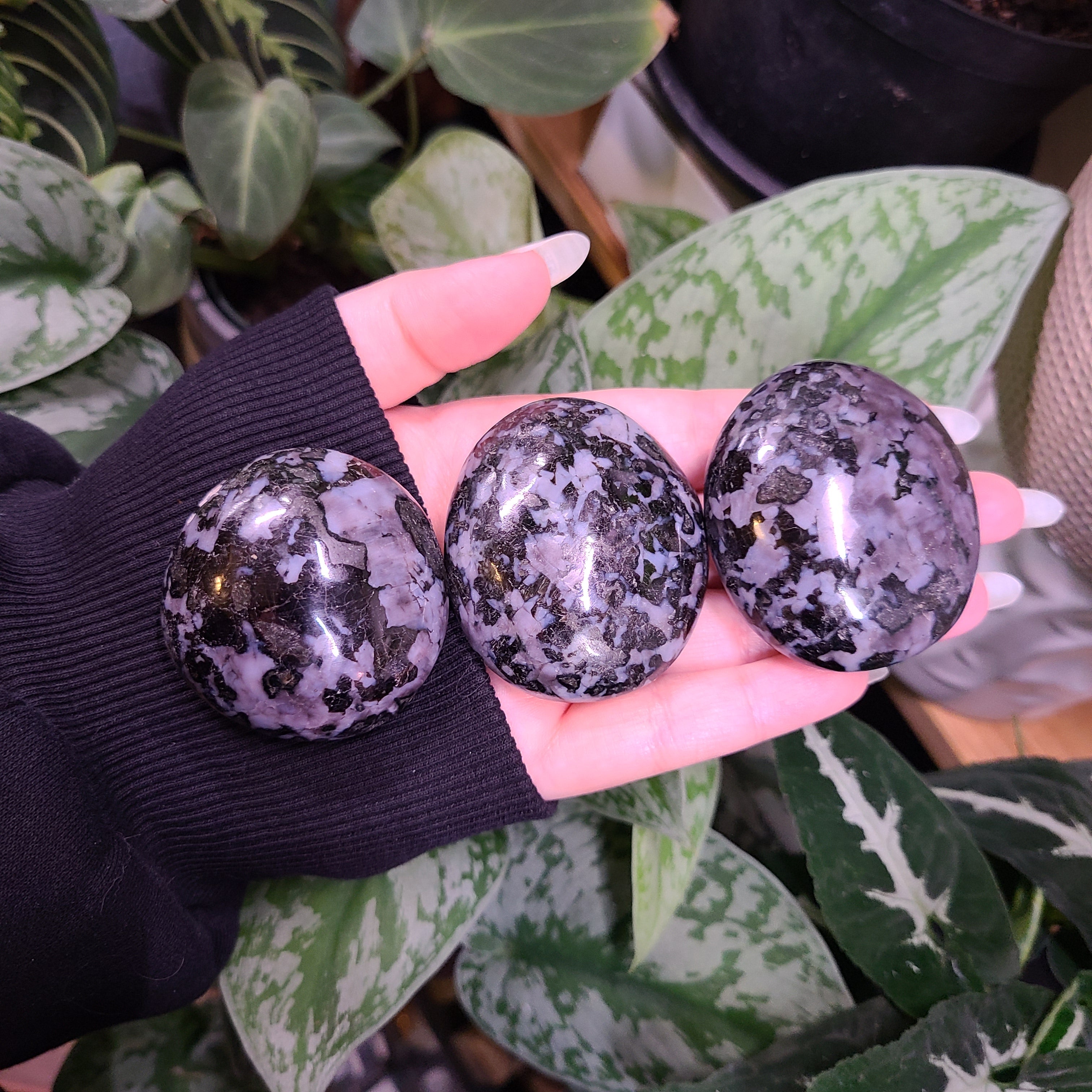 Indigo Gabbro Palm Stones