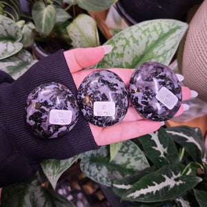 Indigo Gabbro Palm Stones