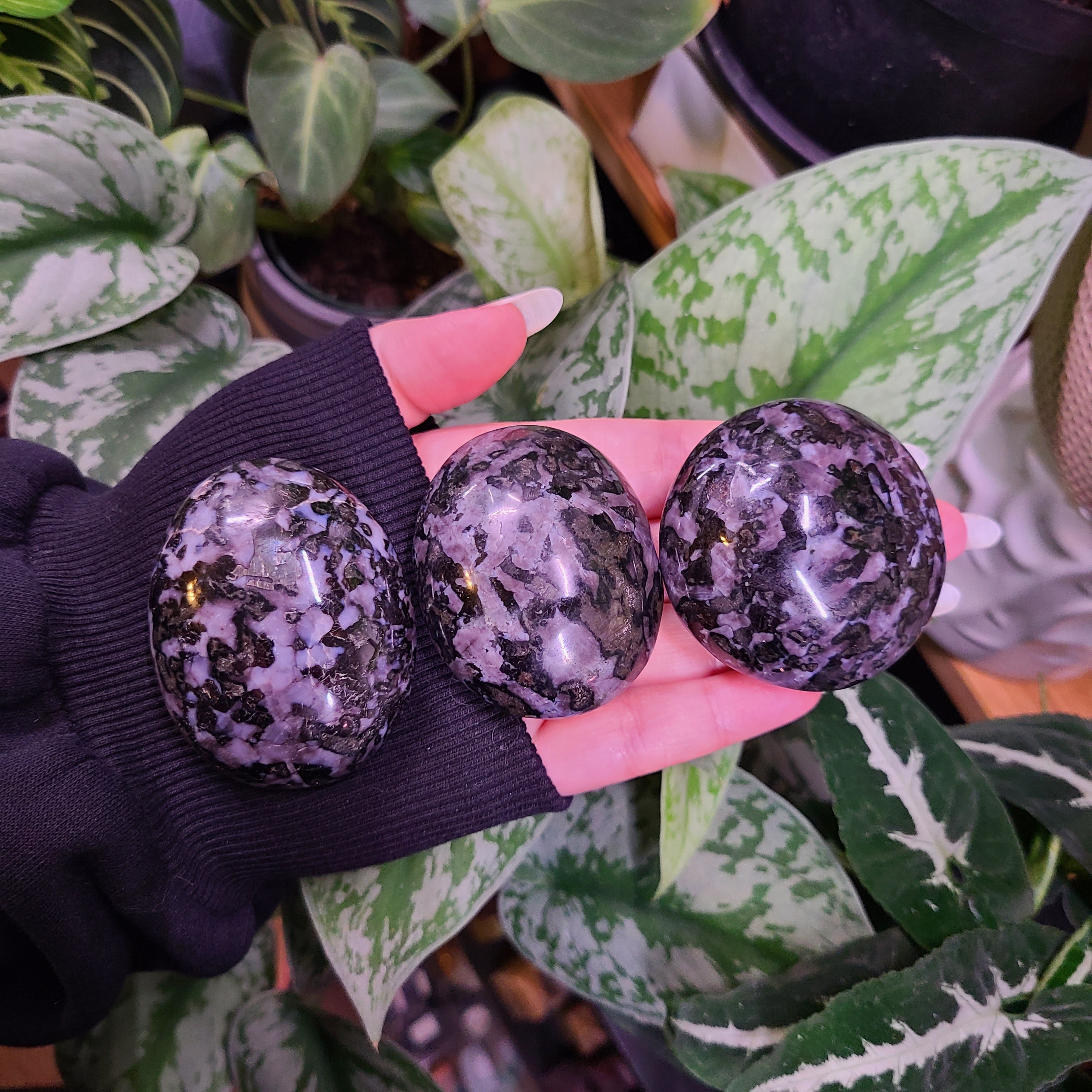 Indigo Gabbro Palm Stones