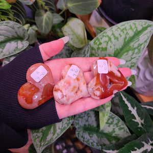 Carnelian x Flower Agate Hearts