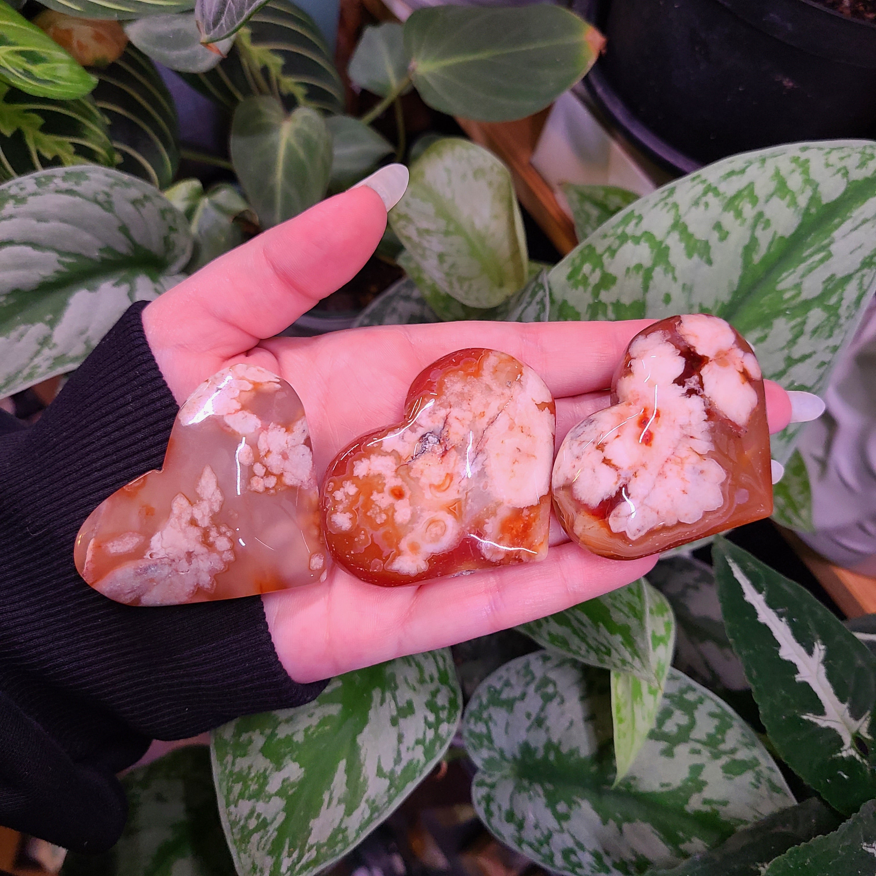 Carnelian x Flower Agate Hearts