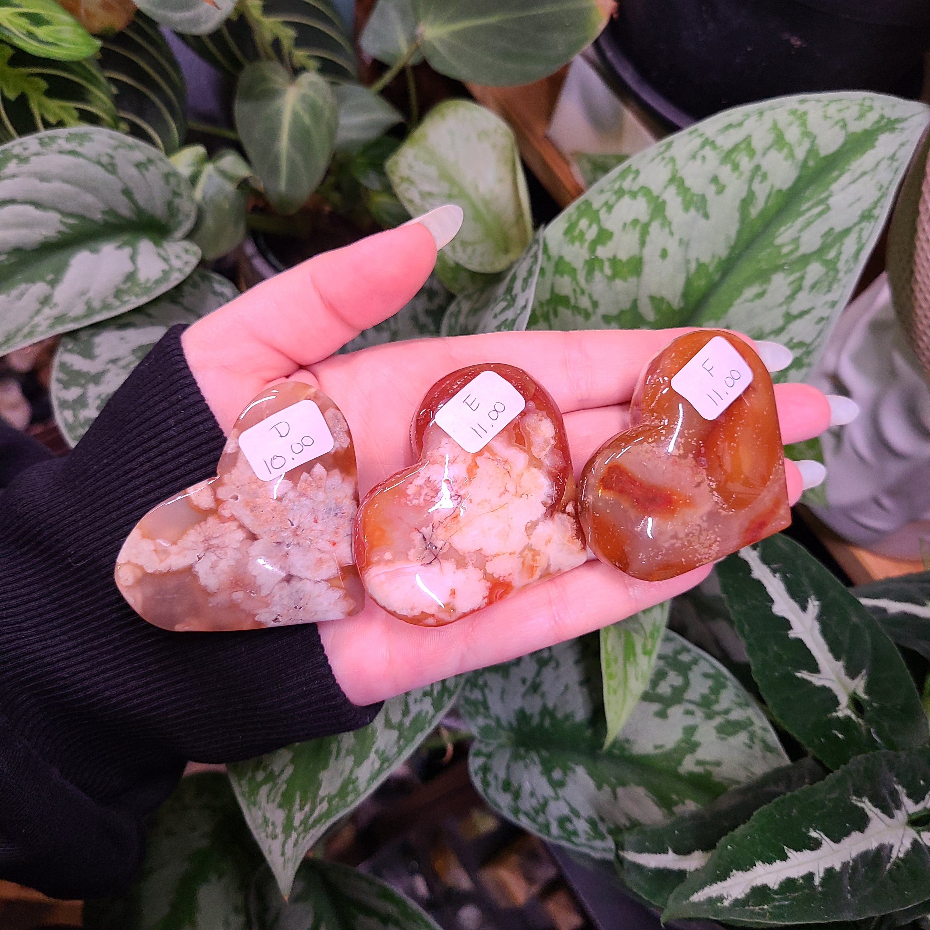 Carnelian x Flower Agate Hearts