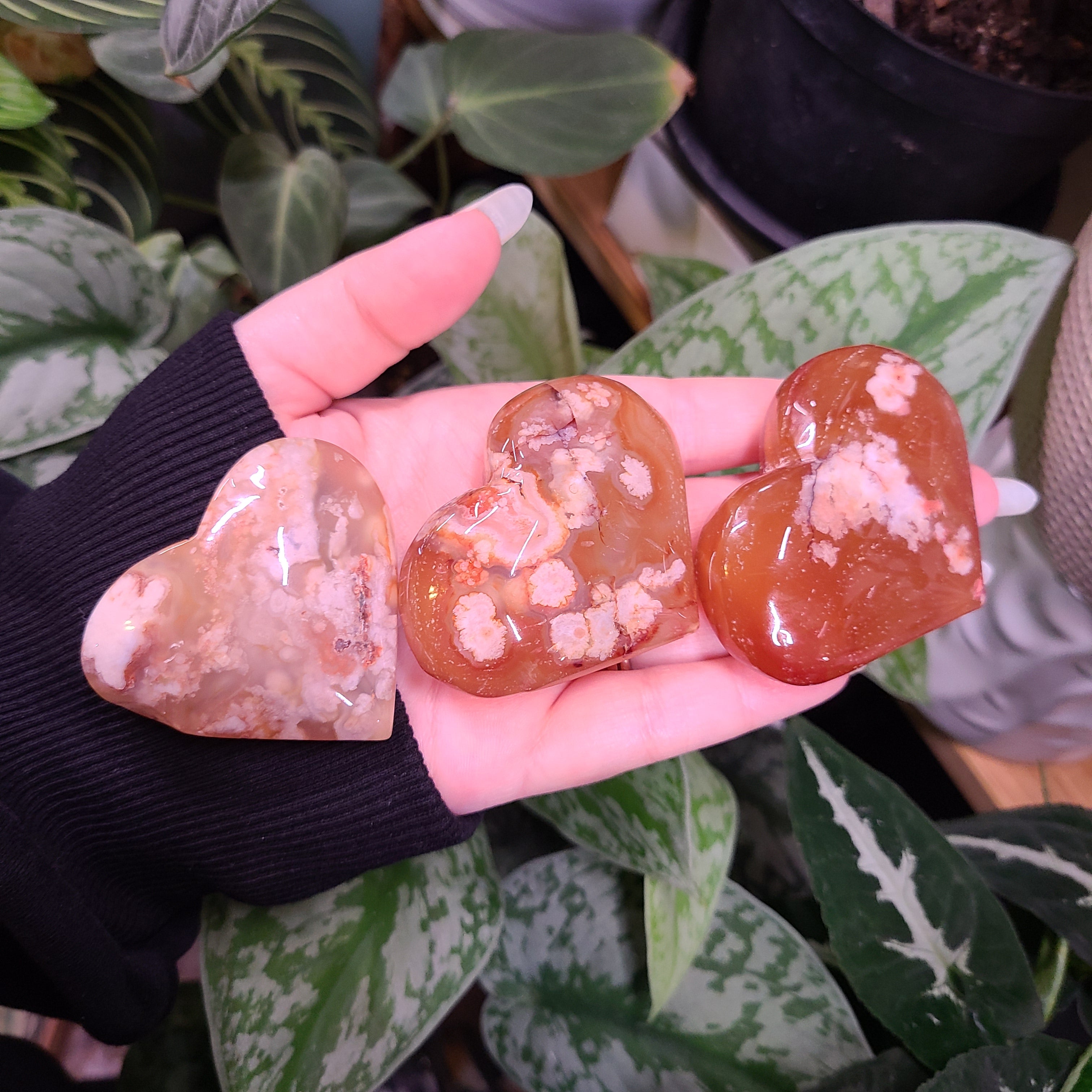 Carnelian x Flower Agate Hearts