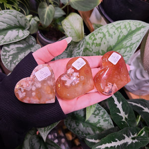 Carnelian x Flower Agate Hearts