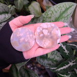 Load image into Gallery viewer, Flower Agate Pucks
