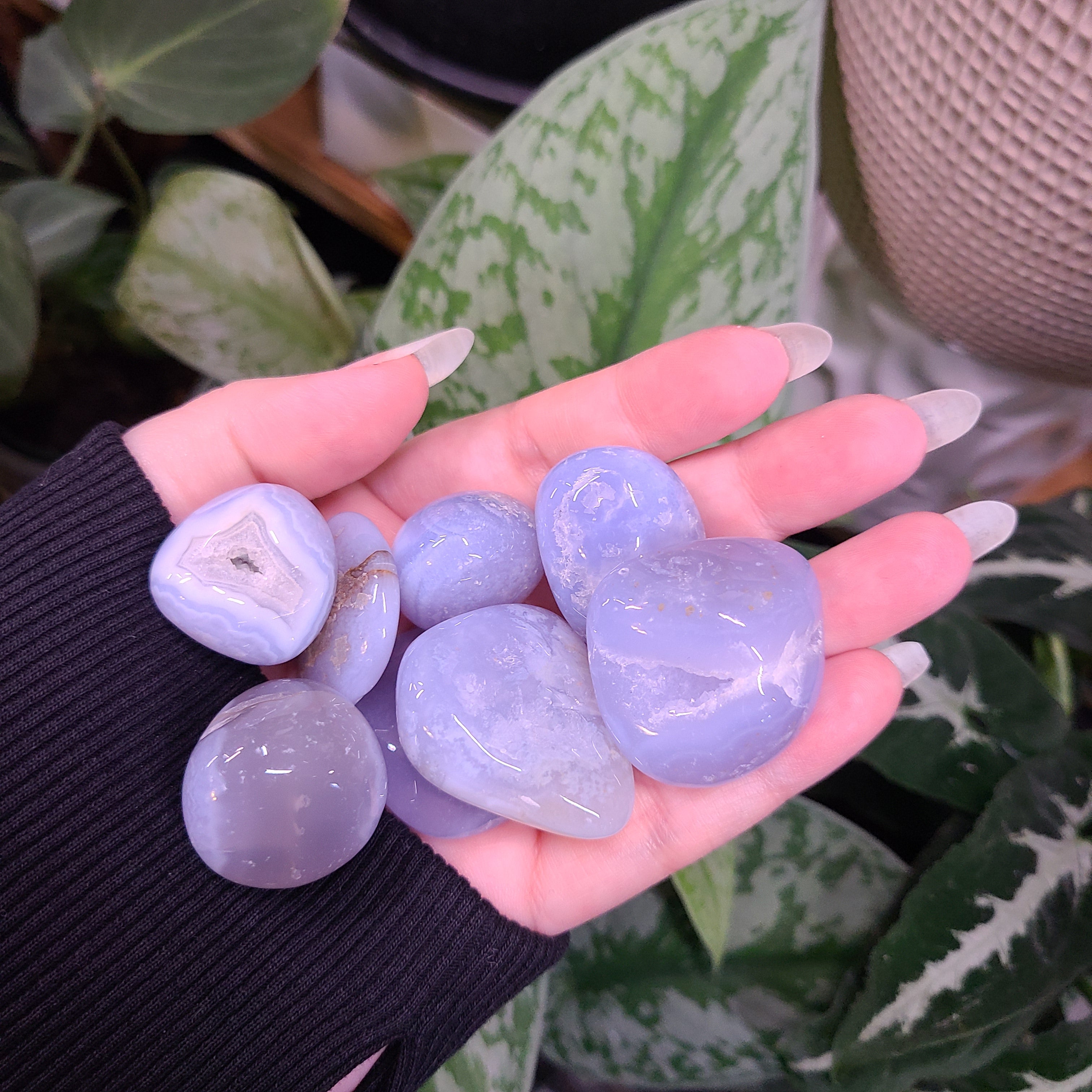 Blue Chalcedony Tumbles