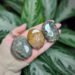 Load image into Gallery viewer, Ocean Jasper Palm Stones
