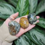 Load image into Gallery viewer, Ocean Jasper Palm Stones

