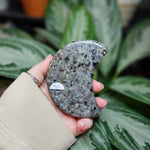 Load image into Gallery viewer, Yooperlite Moon **NO Stand
