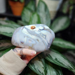 Load image into Gallery viewer, Orca Agate Freeform
