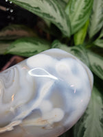 Load image into Gallery viewer, Orca Agate Freeform
