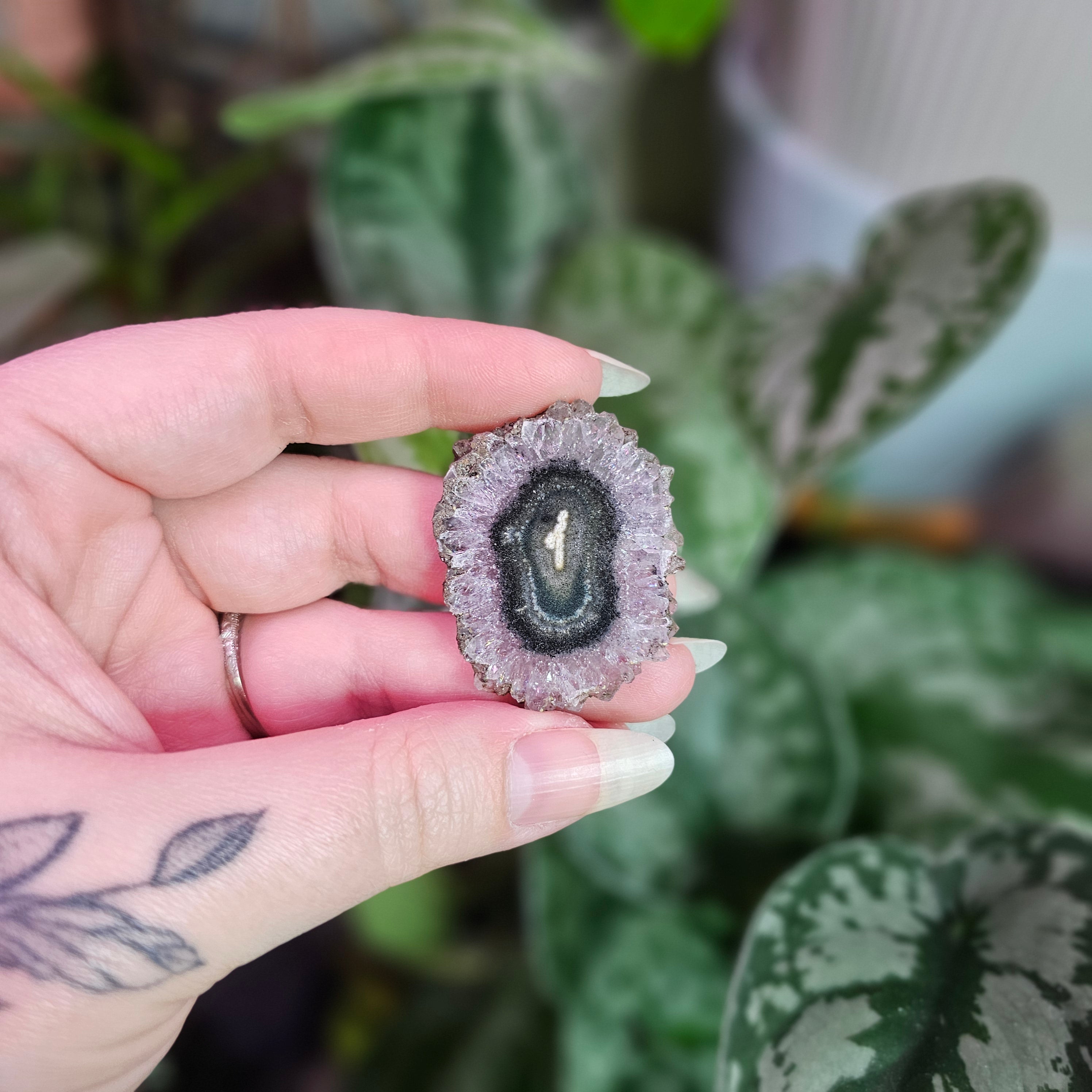 Amethyst Stalactite Slice ~ A