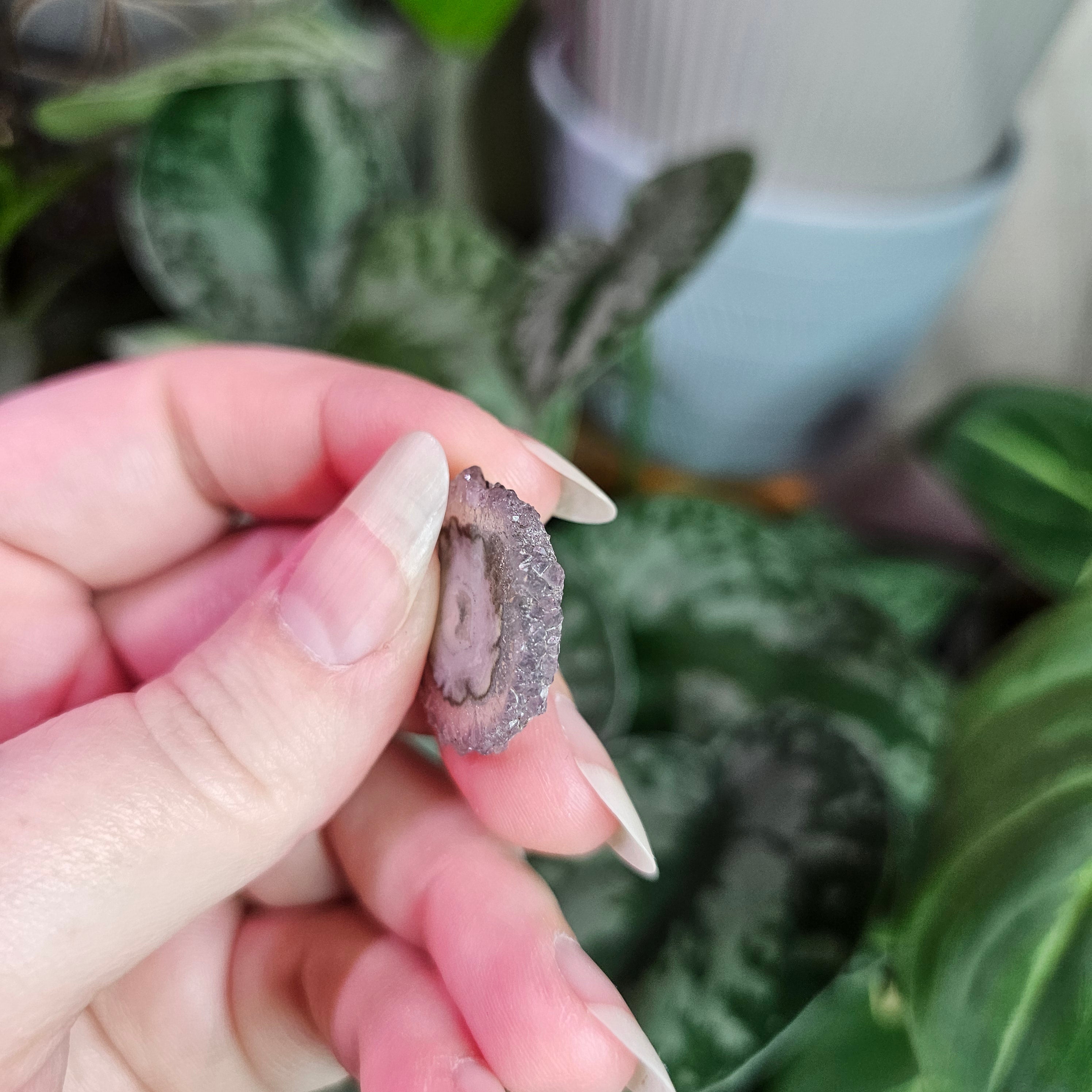 Amethyst Stalactite Slice ~ F