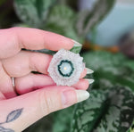 Load image into Gallery viewer, Amethyst Stalactite Slice ~ M
