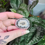 Load image into Gallery viewer, Amethyst Stalactite Slice ~ K
