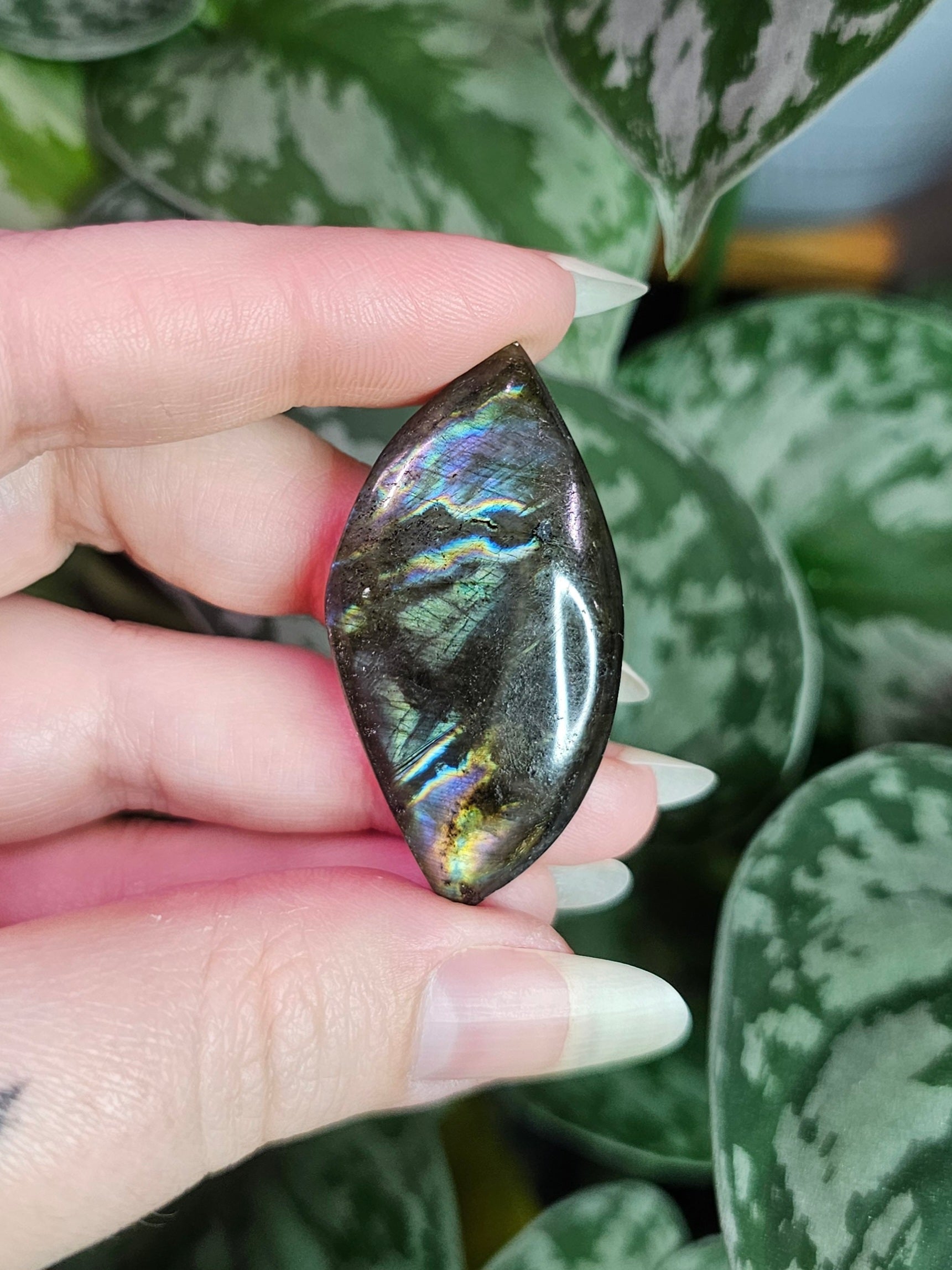 Labradorite Pocket Stones - Intuitively Chosen