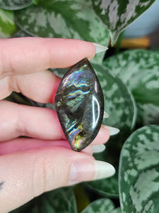 Labradorite Pocket Stones - Intuitively Chosen