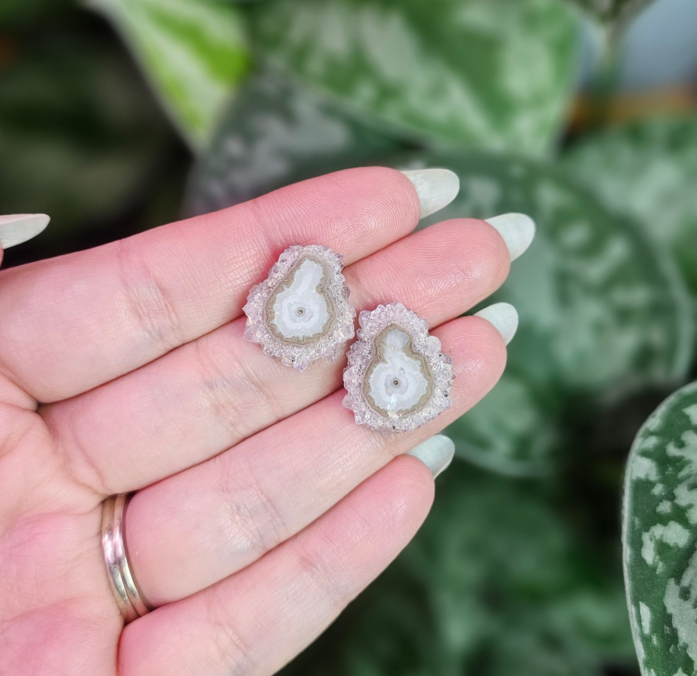 Amethyst Stalactite Stud Earrings ~ D