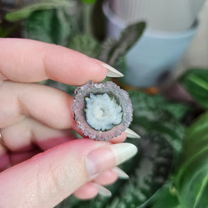 Amethyst Stalactite Slice ~ F