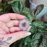 Load image into Gallery viewer, Amethyst Stalactite Slice ~ B
