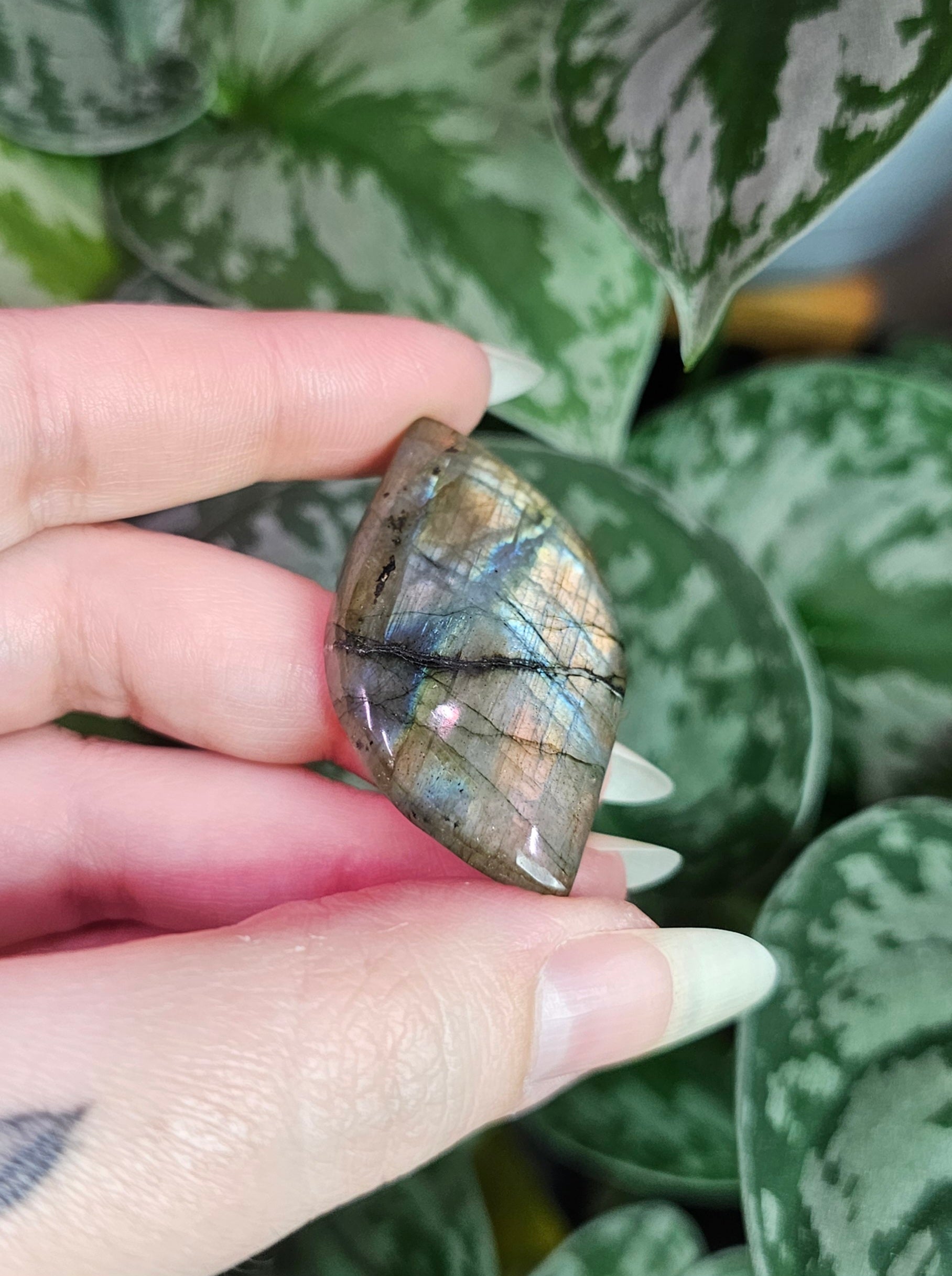 Labradorite Pocket Stones - Intuitively Chosen