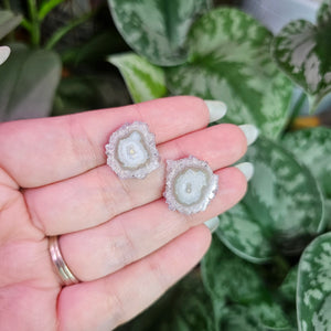 Amethyst Stalactite Stud Earrings ~ B