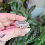 Load image into Gallery viewer, Amethyst Stalactite Slice ~ C
