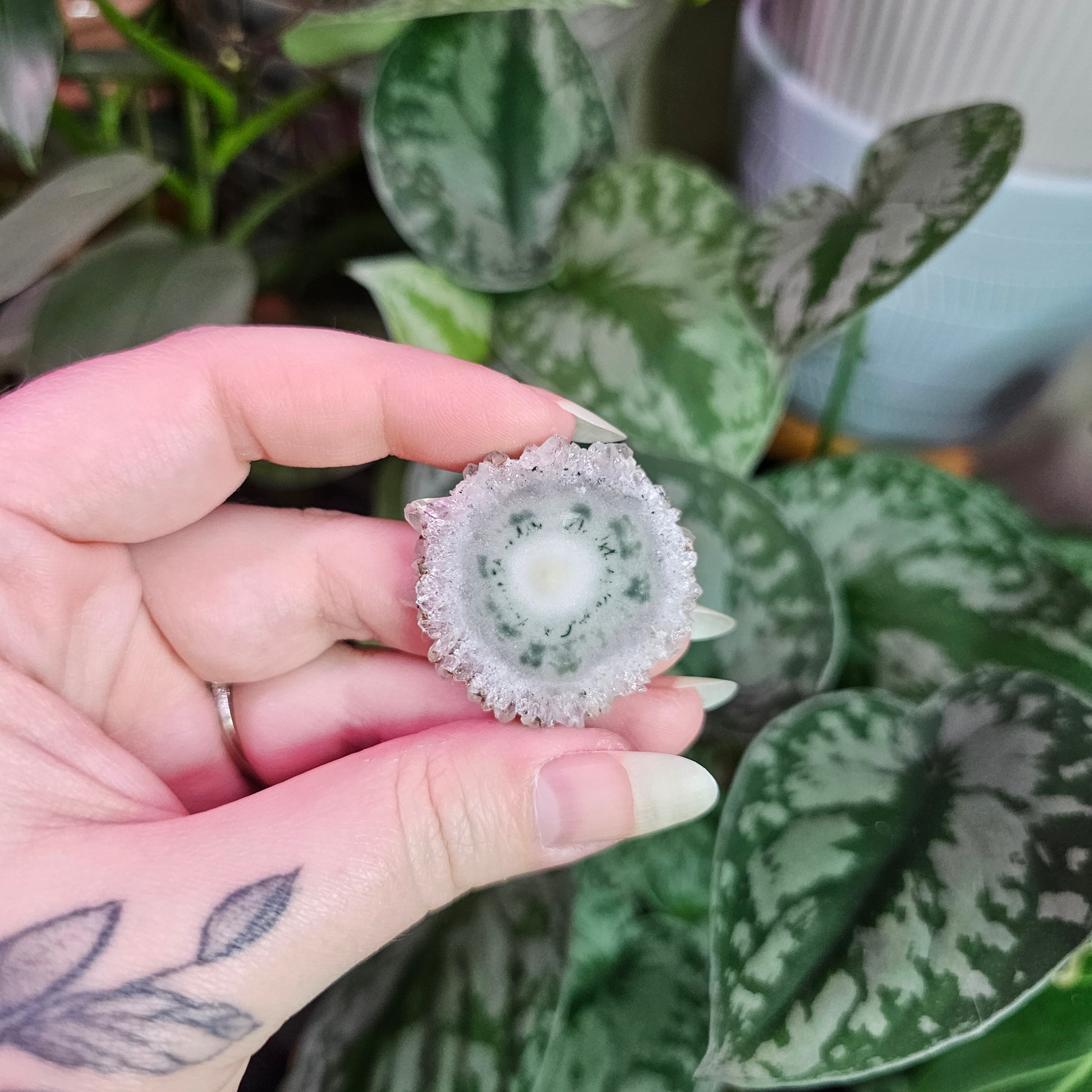 Amethyst Stalactite Slice ~ C