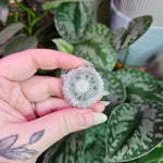 Load image into Gallery viewer, Amethyst Stalactite Slice ~ C

