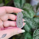 Load image into Gallery viewer, Amethyst Stalactite Slice ~ E
