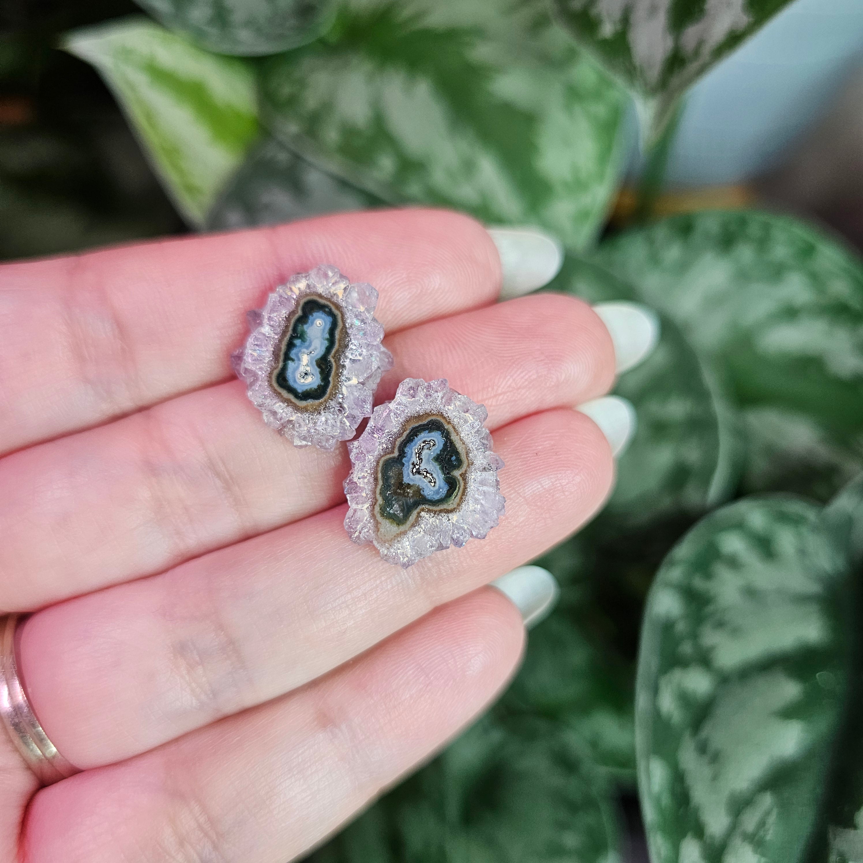 Amethyst Stalactite Stud Earrings ~ E
