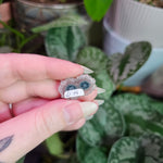 Load image into Gallery viewer, Amethyst Stalactite Slice ~ I
