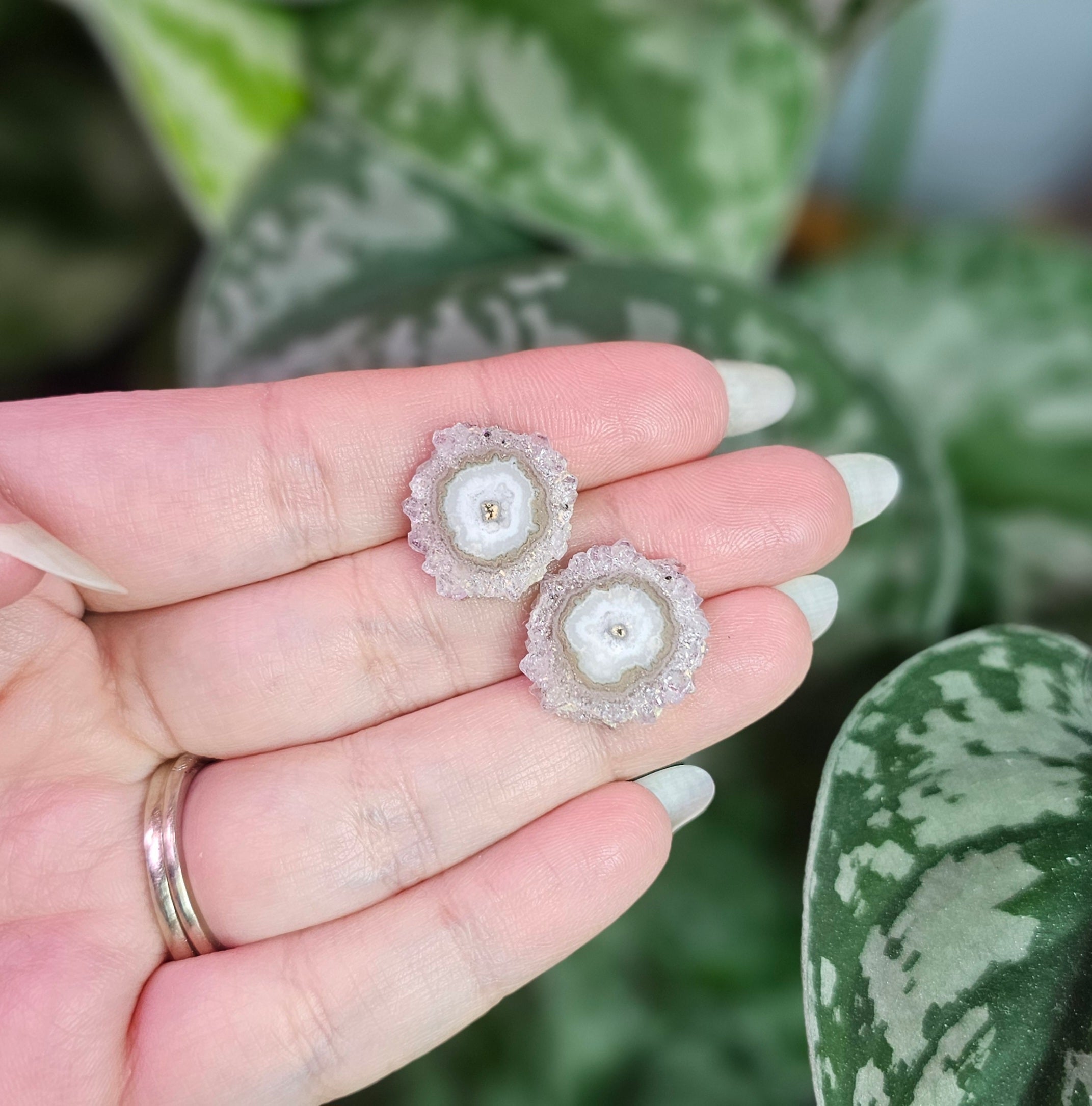Amethyst Stalactite Stud Earrings ~ F