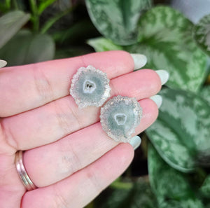 Amethyst Stalactite Stud Earrings ~ G