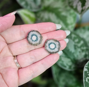 Amethyst Stalactite Stud Earrings ~ H (Tube Agate)