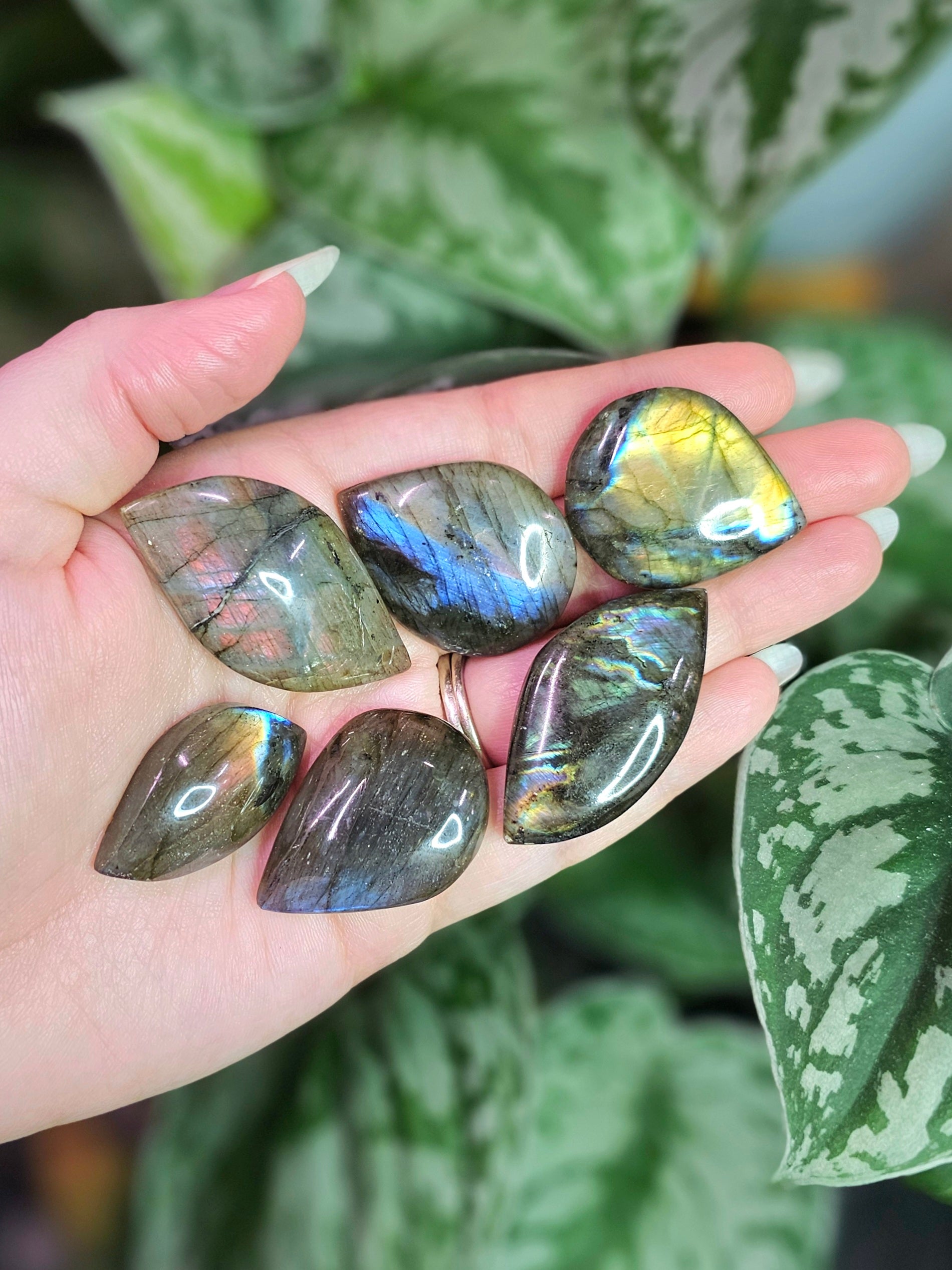 Labradorite Pocket Stones - Intuitively Chosen