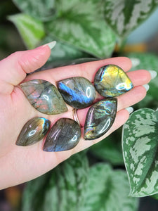 Labradorite Pocket Stones - Intuitively Chosen