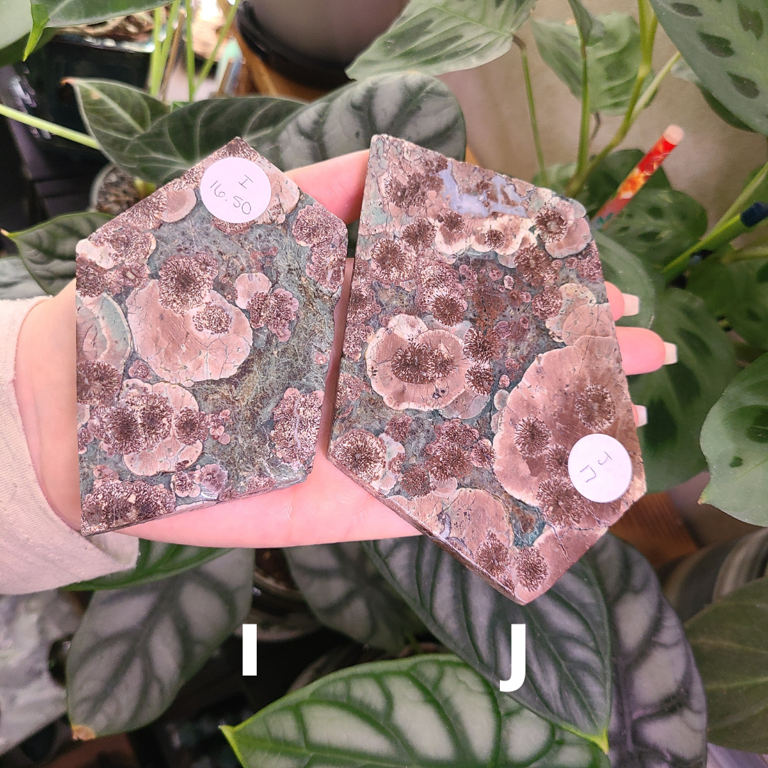 Oriental Flower Jasper - Rhyolite - Slabs