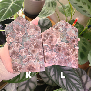 Oriental Flower Jasper - Rhyolite - Slabs