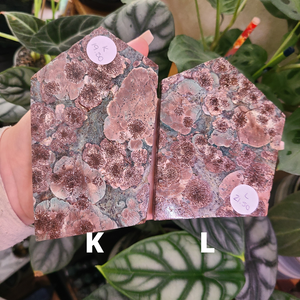 Oriental Flower Jasper - Rhyolite - Slabs