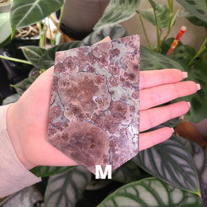 Oriental Flower Jasper - Rhyolite - Slabs