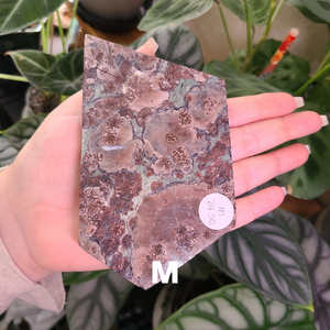 Oriental Flower Jasper - Rhyolite - Slabs